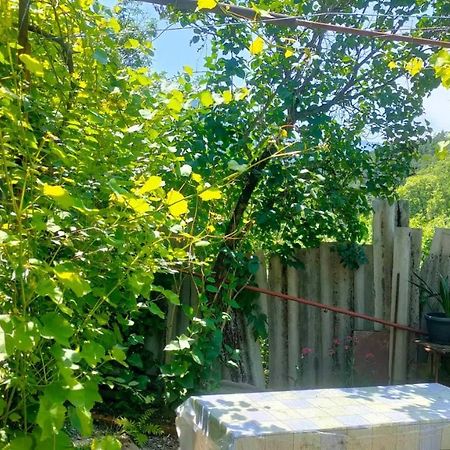 Guest House Gogias Cixe Borjomi ภายนอก รูปภาพ