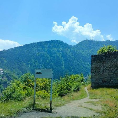 Guest House Gogias Cixe Borjomi ภายนอก รูปภาพ