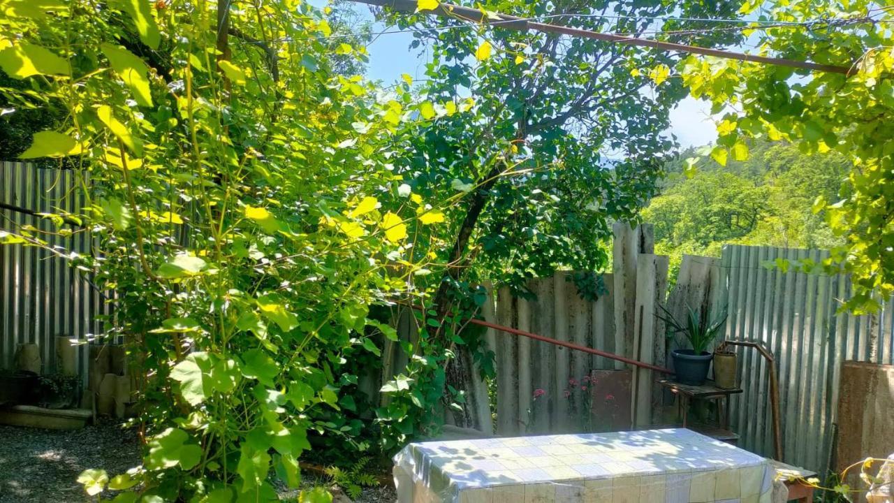 Guest House Gogias Cixe Borjomi ภายนอก รูปภาพ