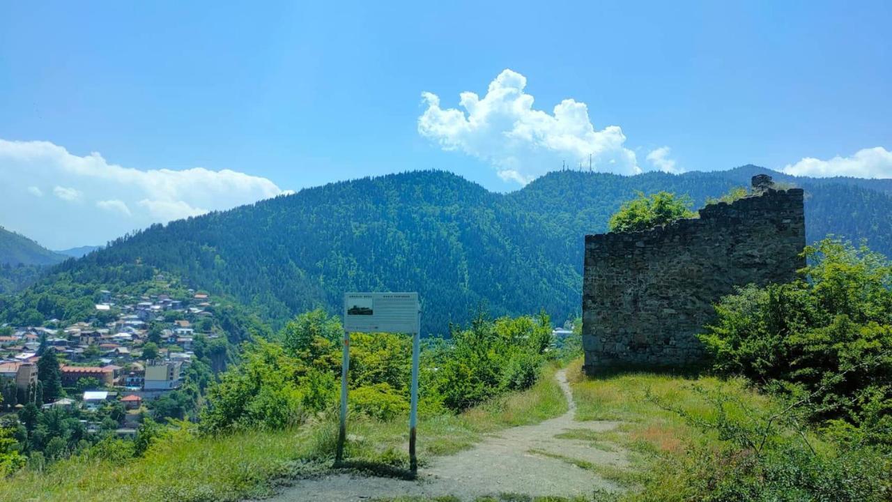 Guest House Gogias Cixe Borjomi ภายนอก รูปภาพ