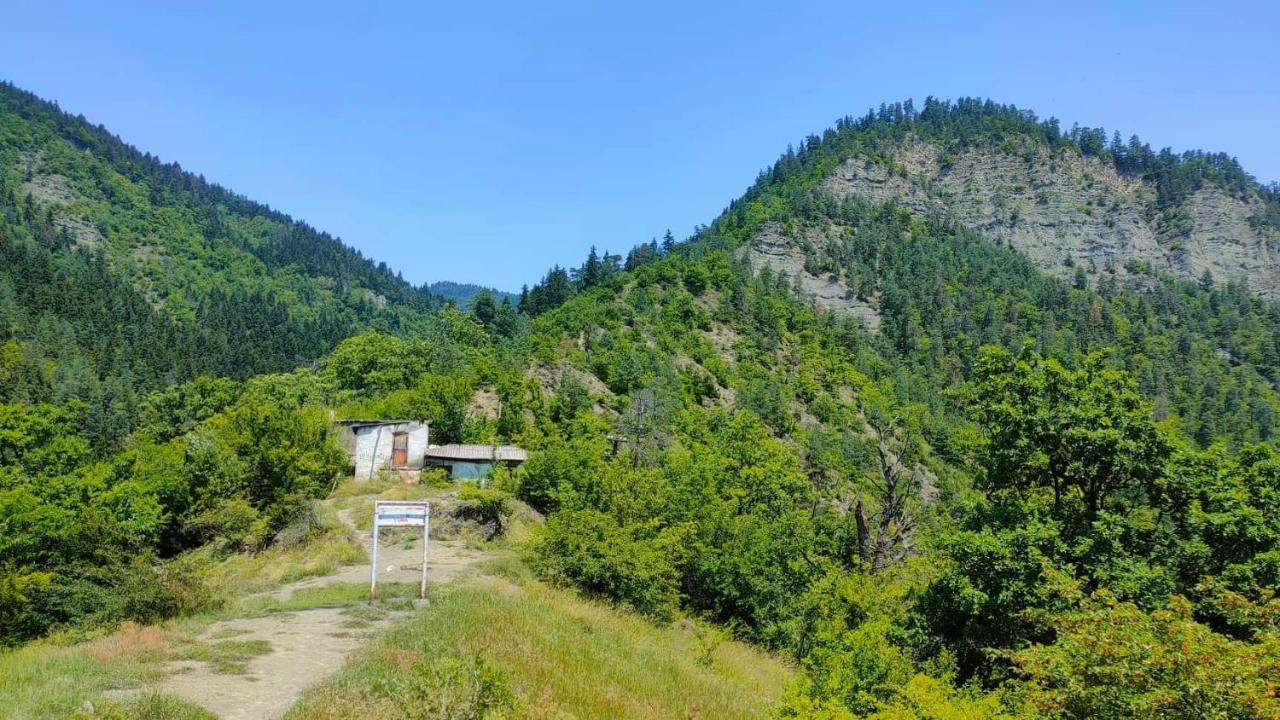 Guest House Gogias Cixe Borjomi ภายนอก รูปภาพ