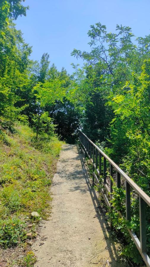 Guest House Gogias Cixe Borjomi ภายนอก รูปภาพ