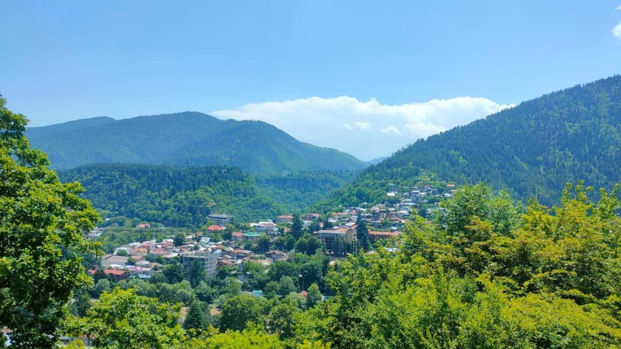 Guest House Gogias Cixe Borjomi ภายนอก รูปภาพ