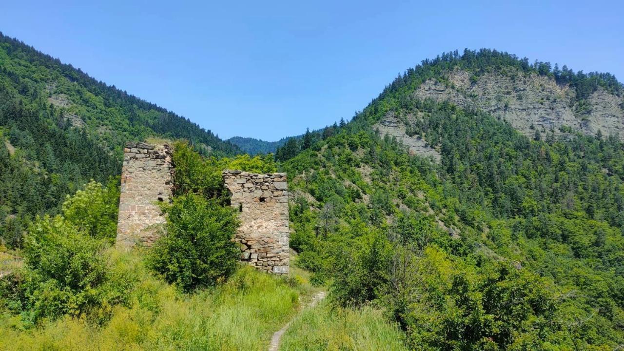 Guest House Gogias Cixe Borjomi ภายนอก รูปภาพ