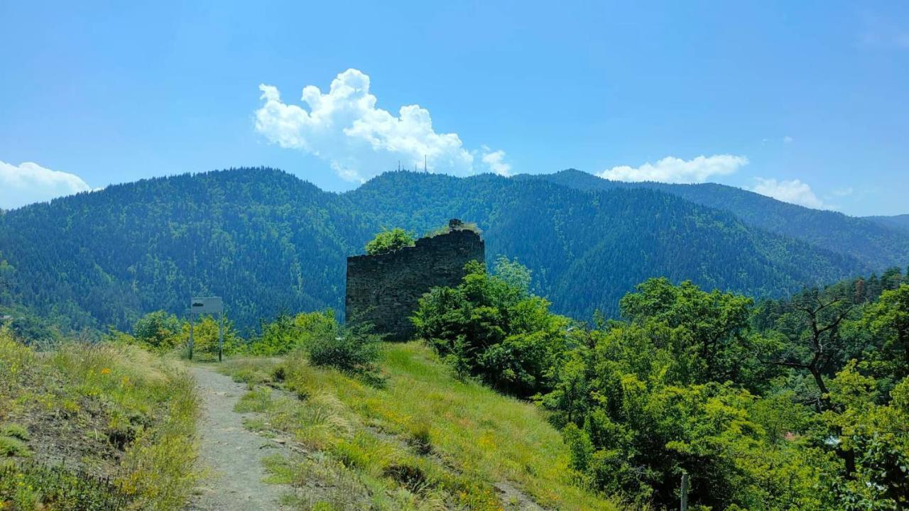Guest House Gogias Cixe Borjomi ภายนอก รูปภาพ